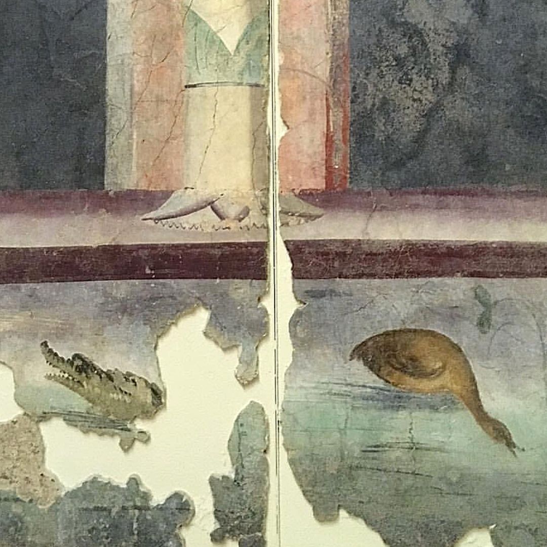 Emozione 5 #emozioniamuseochiuso